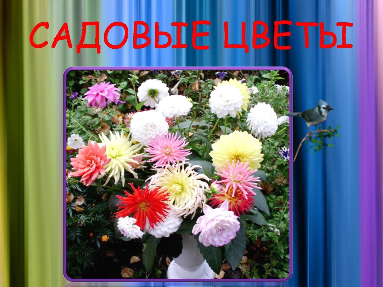 Презентация на тему цветы