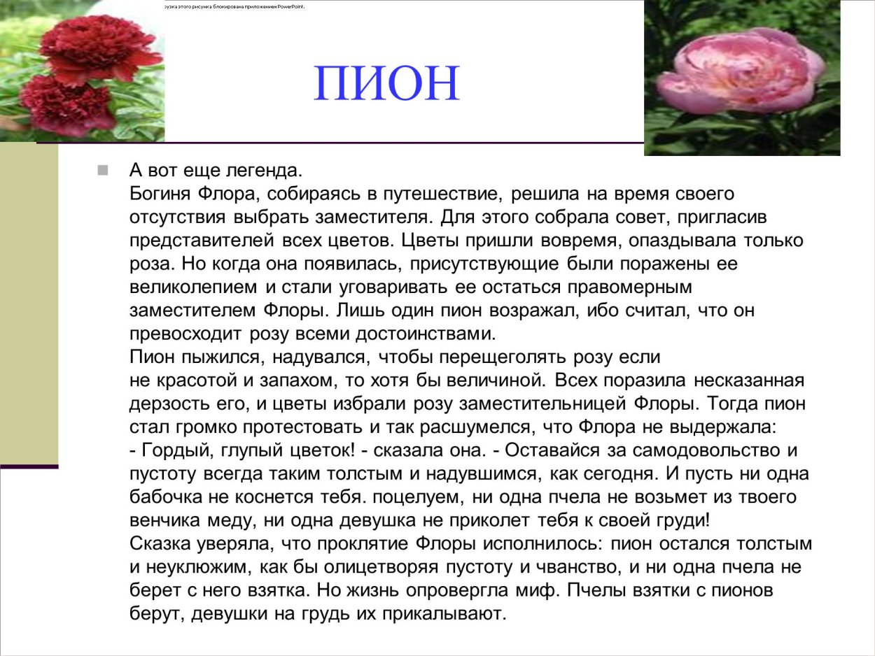 Легенды о цветах мифы и истории