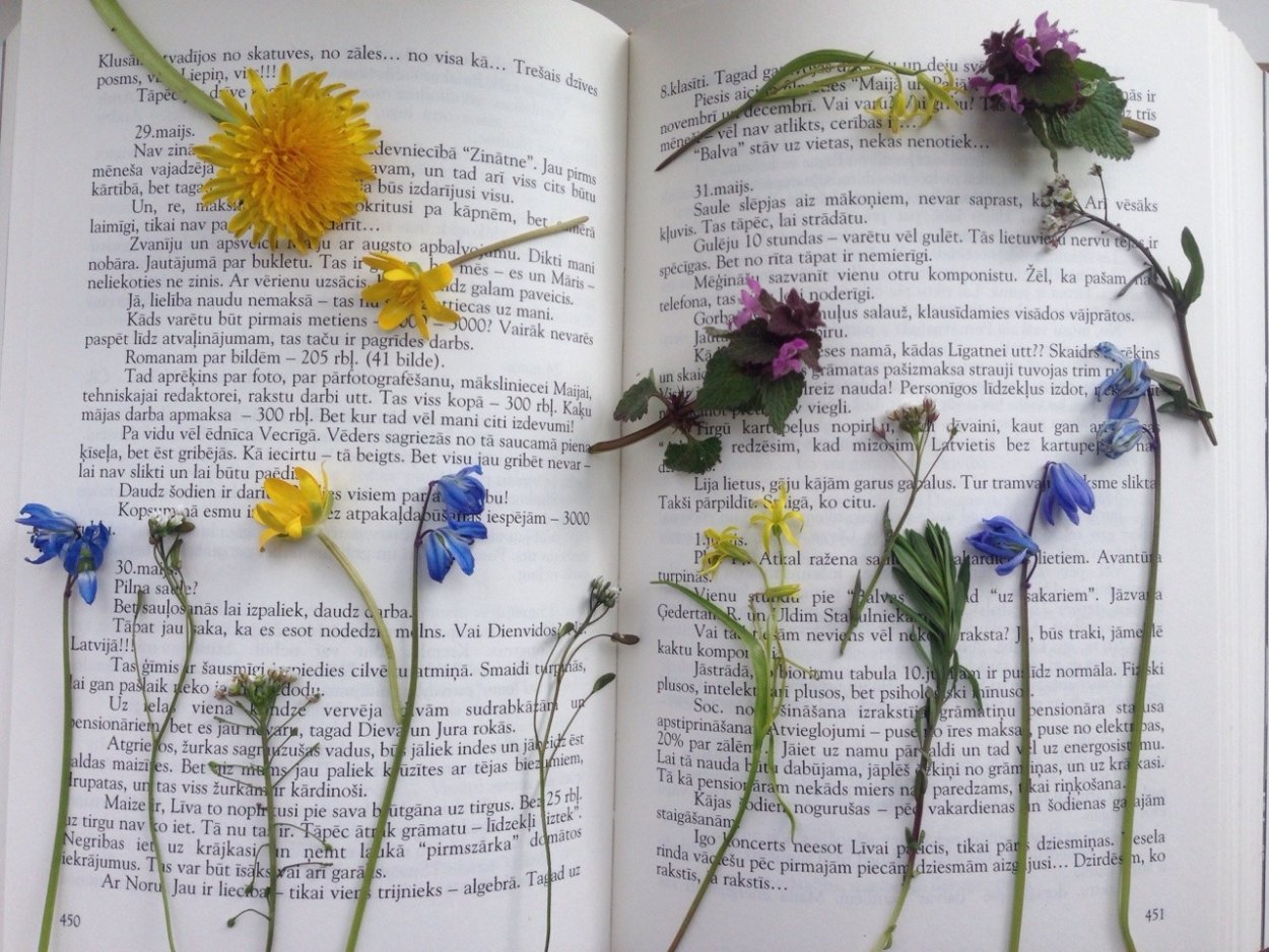 Паспорт комнатного растения гиппеаструм