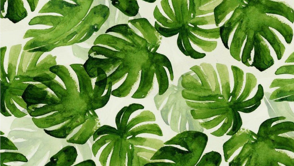 Листья папоротника и монстеры