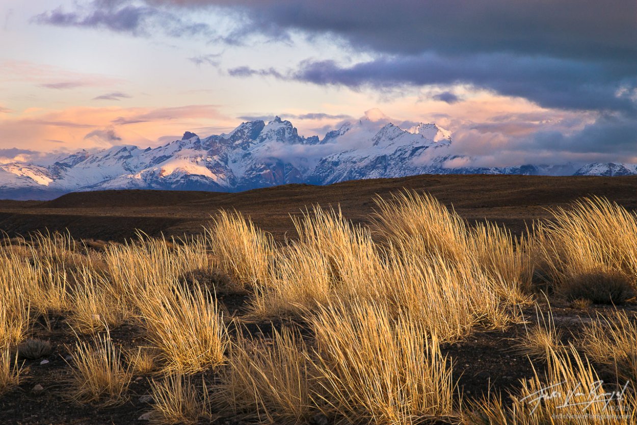 Патагония пампасы