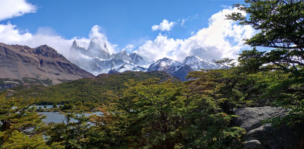 Флора Патагонии