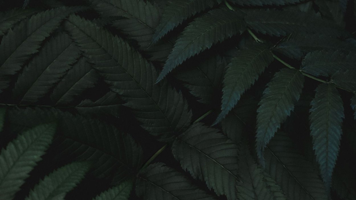 Тёмный эстетичный фон