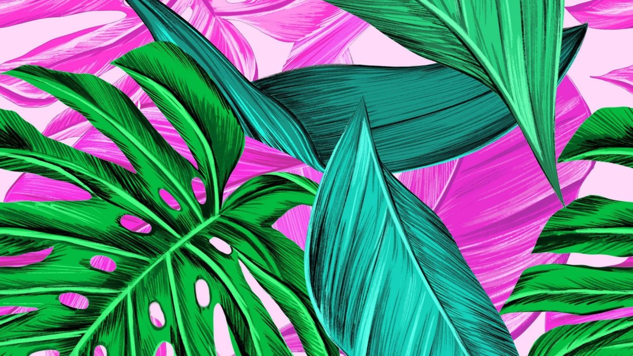 Тропические пальмовые листья фон