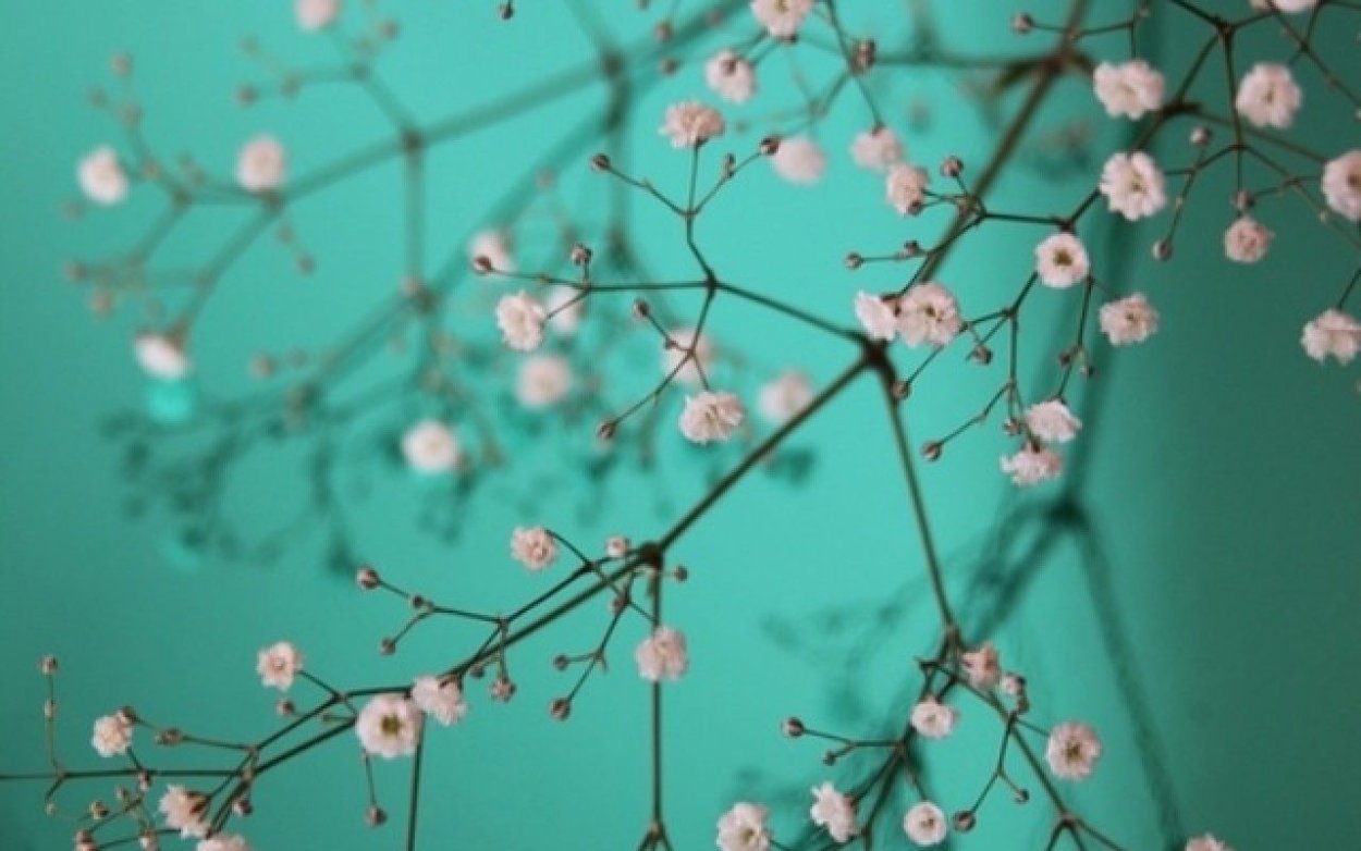 Весенняя Эстетика