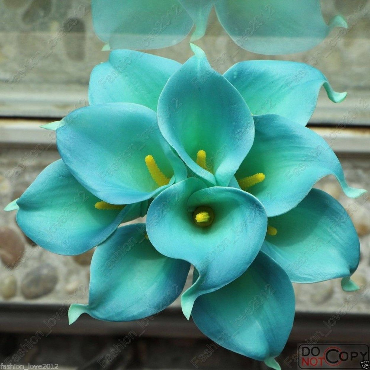 Цветы бирюзового цвета