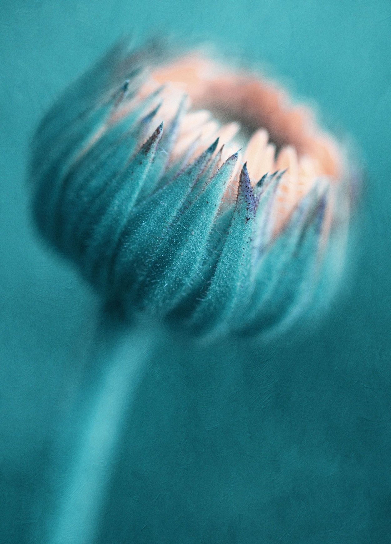 Цвет морской волны в природе