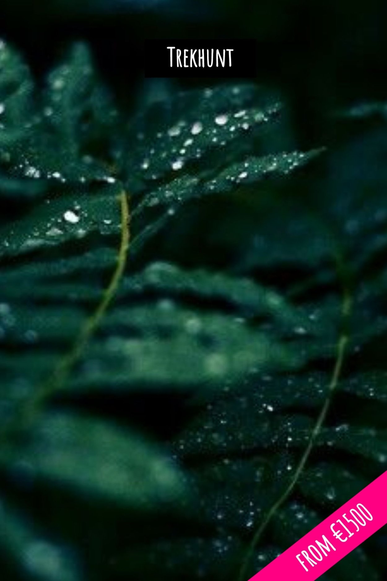 Эстетика изумрудного цвета