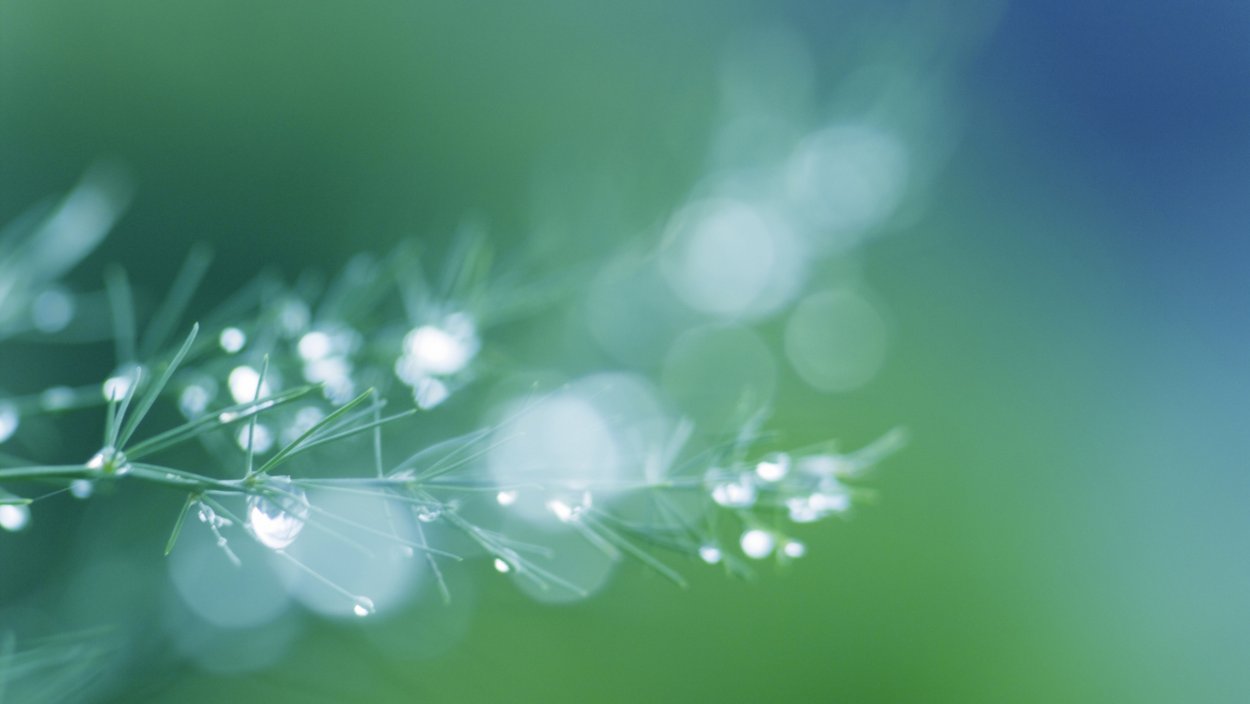 Весенний абстрактный фон