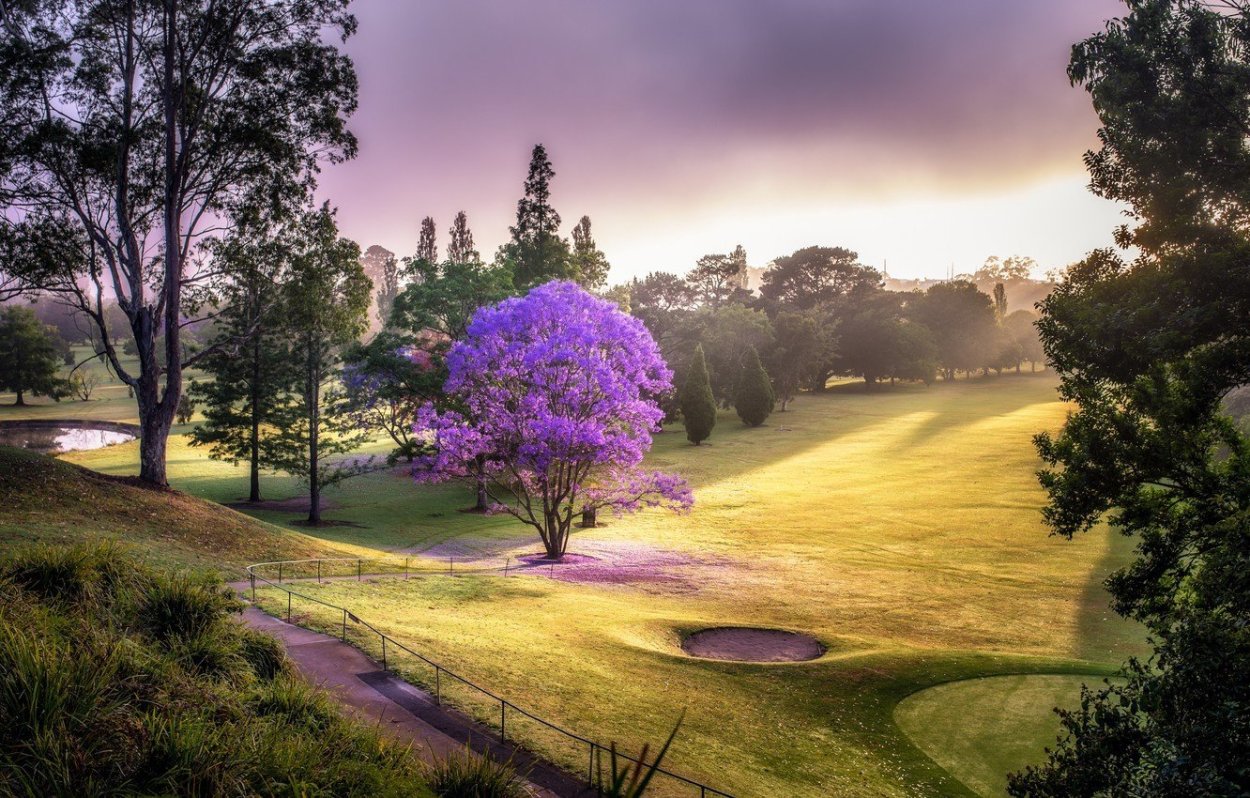 Необычные пейзажи