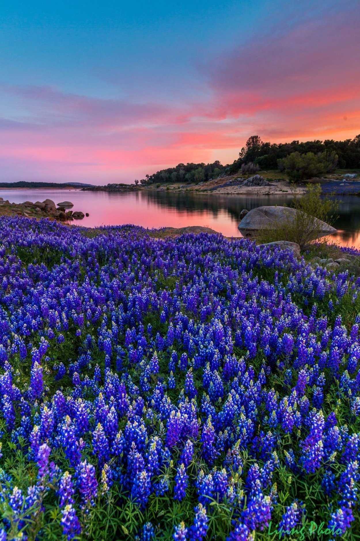 Красота природы