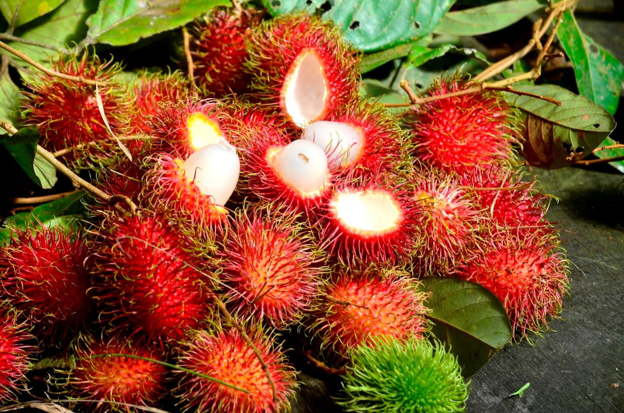 Тропический фрукт рамбутан