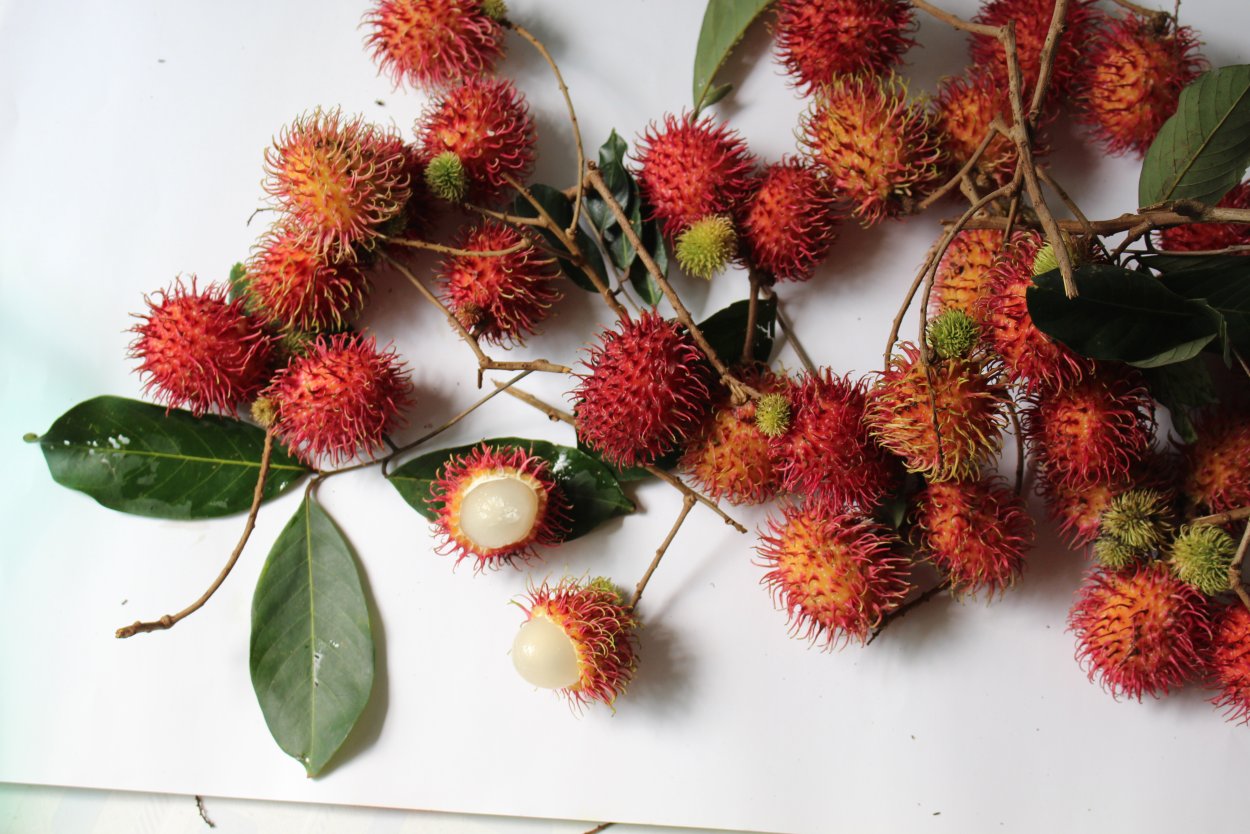 Рамбутан зеленый