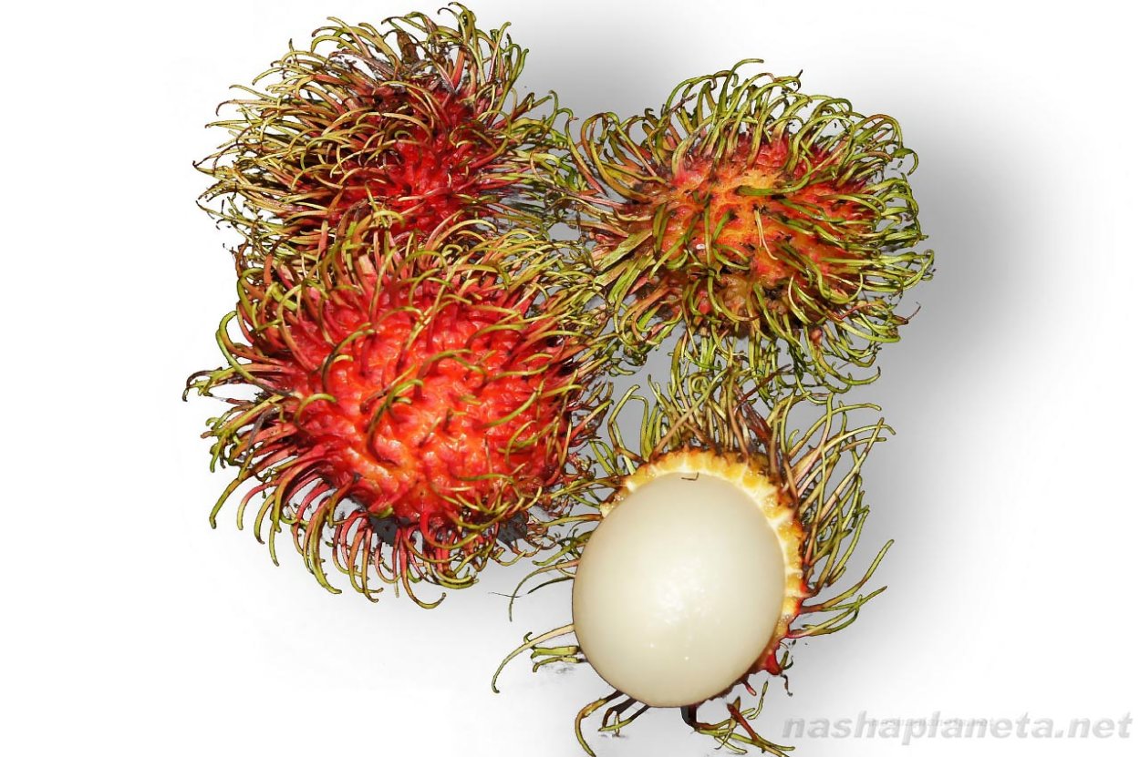 Рамбутан семена