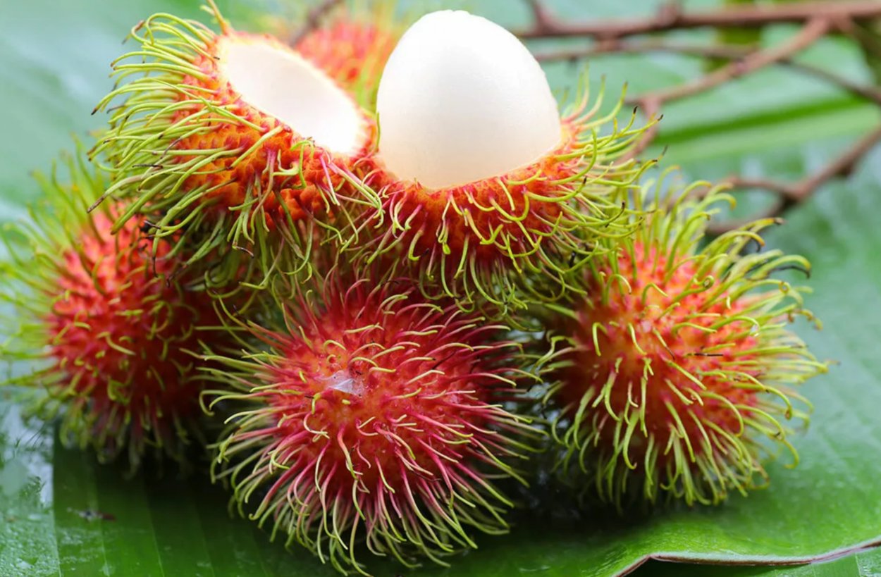 Маракуйя рамбутан