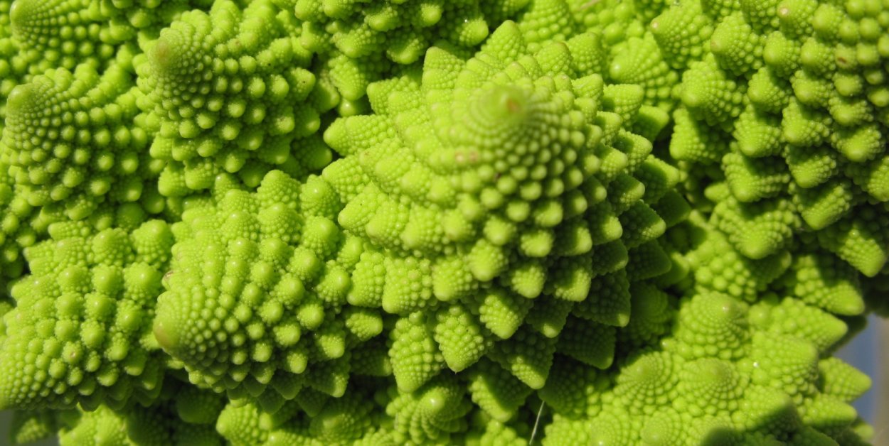 Капуста романеско