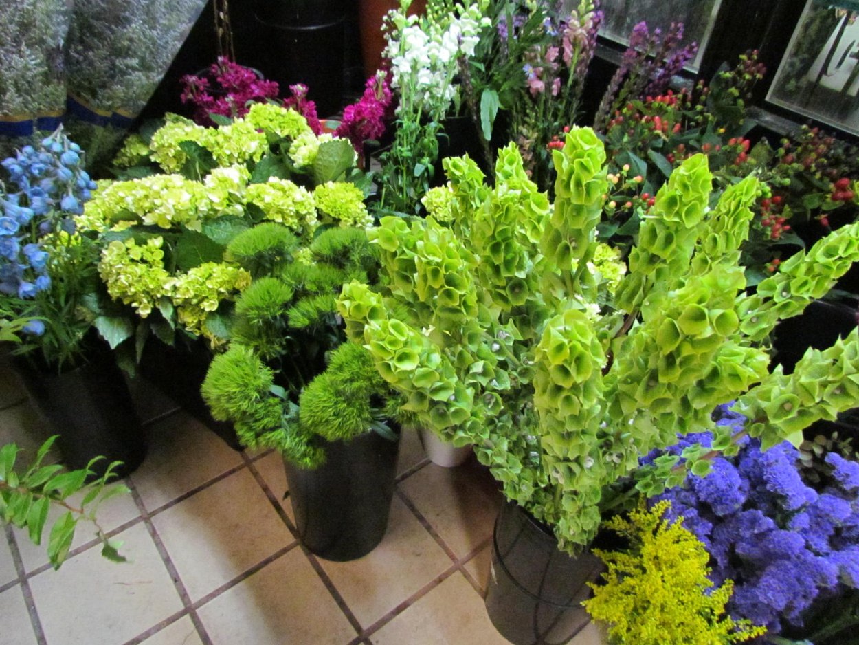 Тласпи зелень