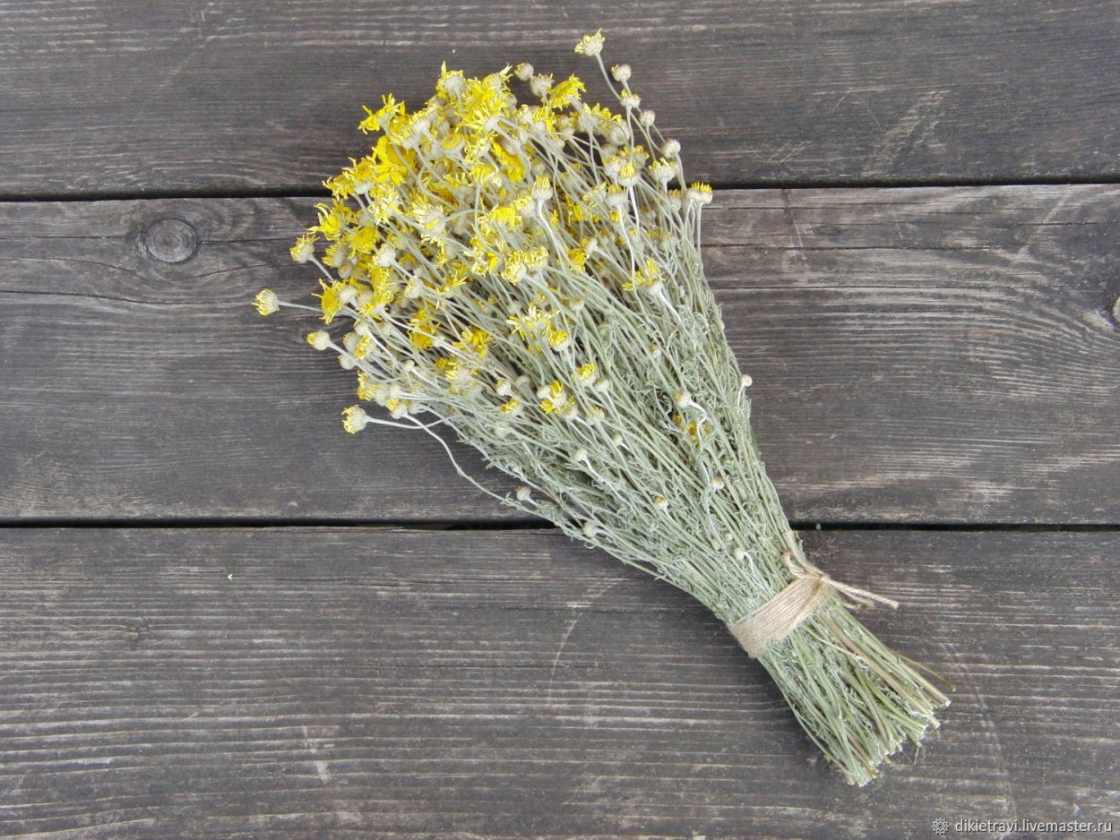 Лепидиум-Lepidium-Green Bell