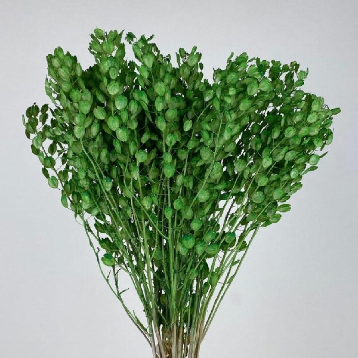 Романеско в букете