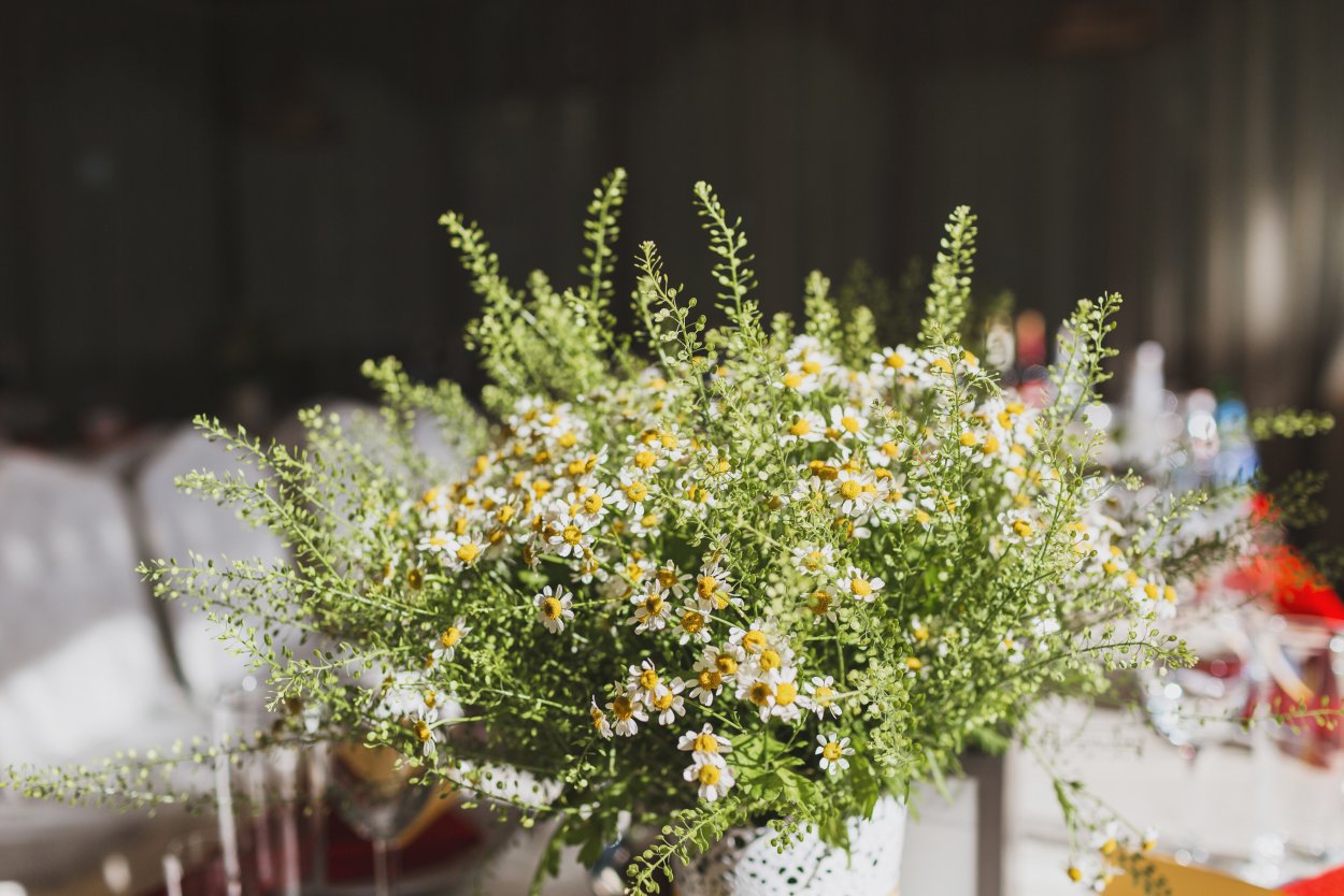 Грин Белл цветок