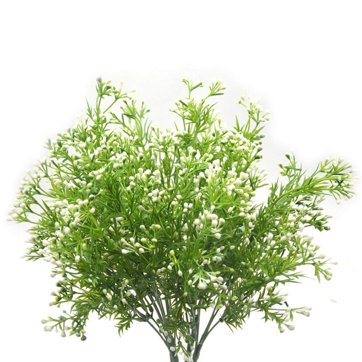 Фатсия срезка