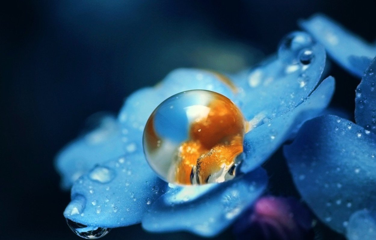 Макросъемка воды