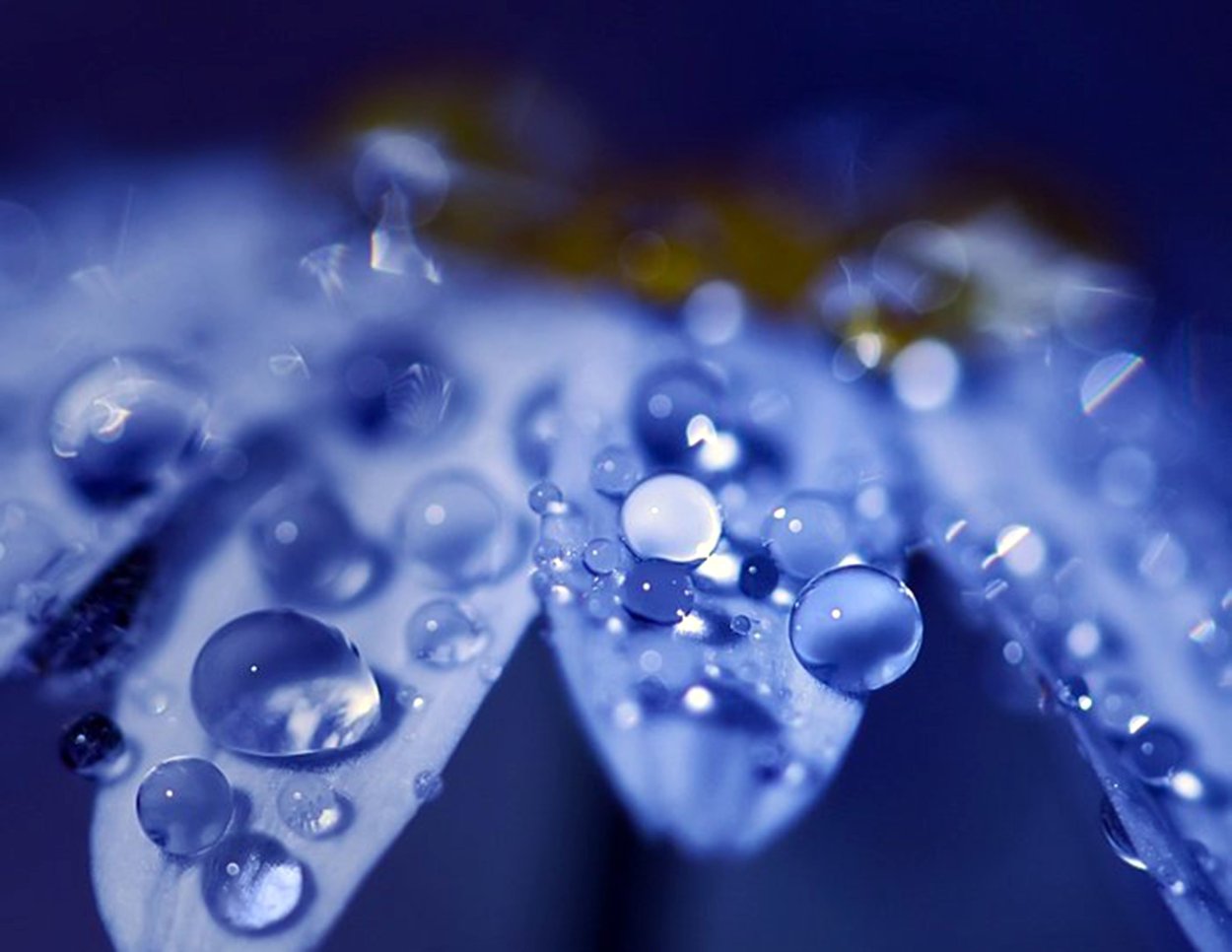 Красивые картинки