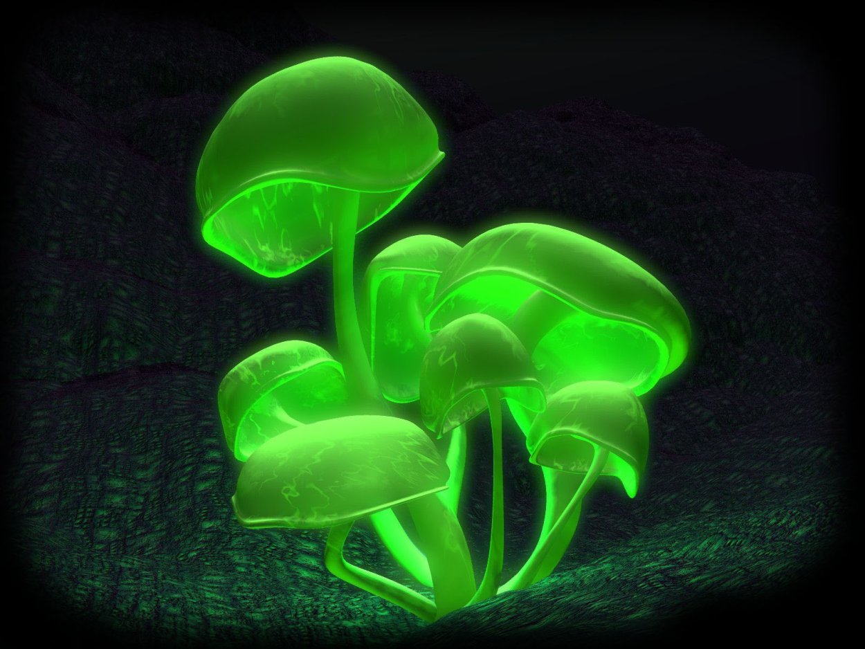 Растения в ультрафиолетовом свете