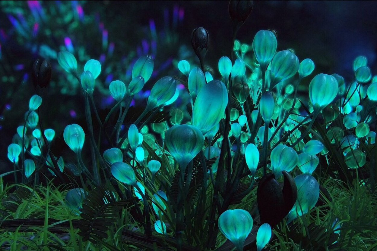 Биолюминесцентный мох