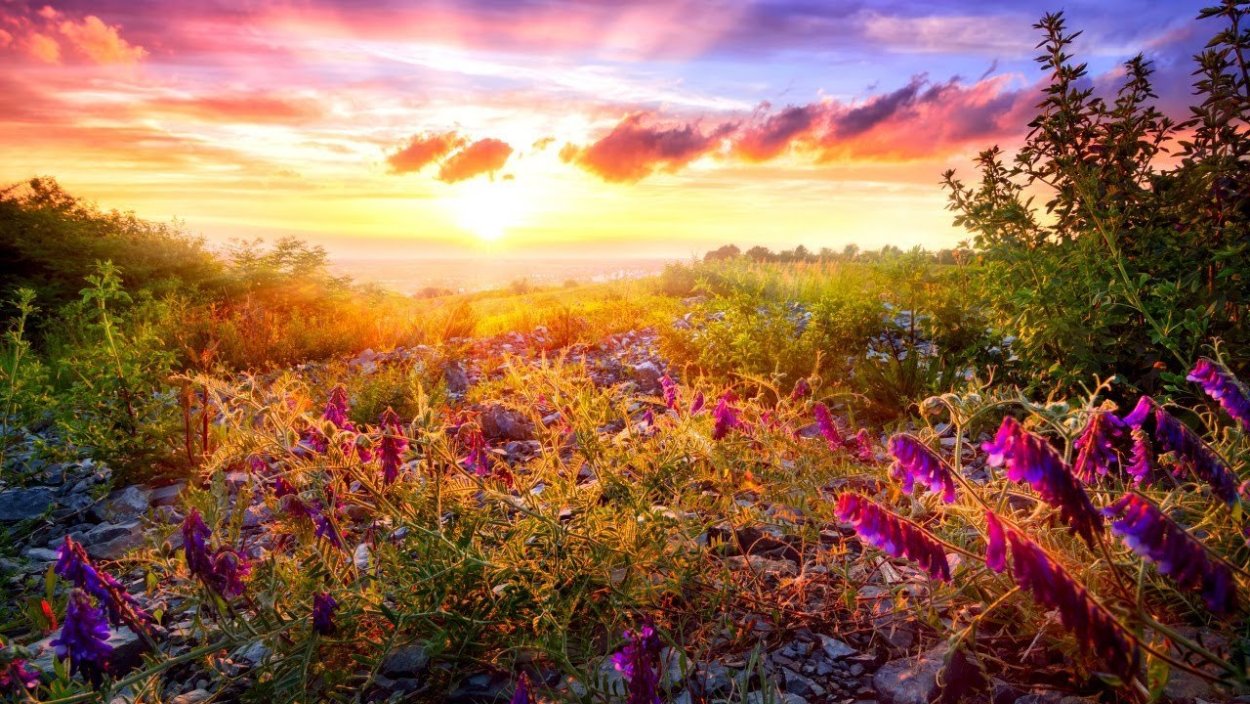 Природа рассвет