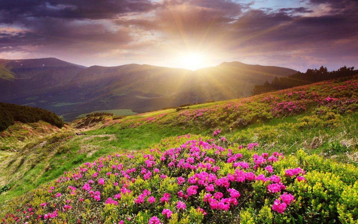 Весна в горах