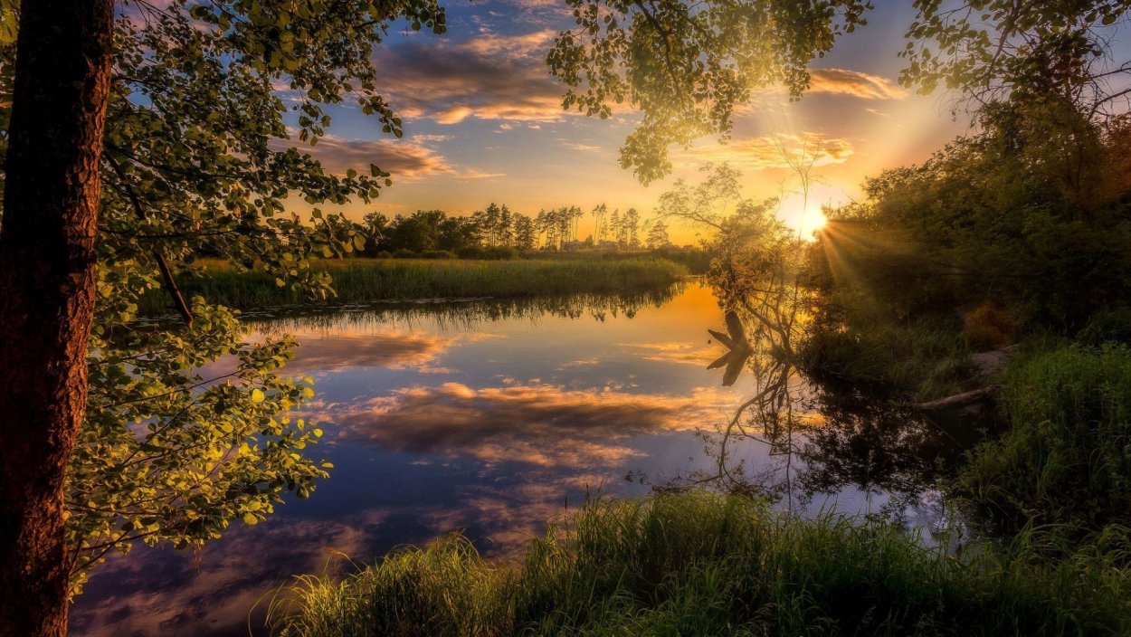 Лето река солнце