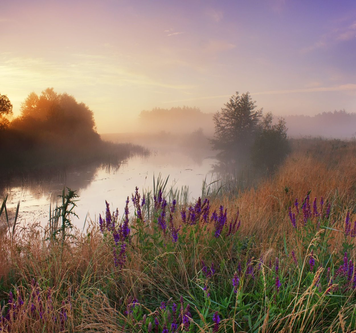 Утренняя природа