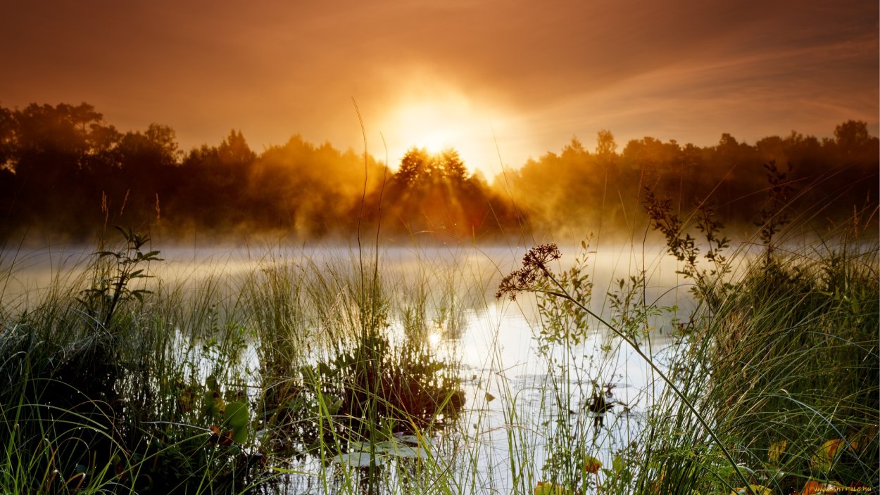 Туман над озером