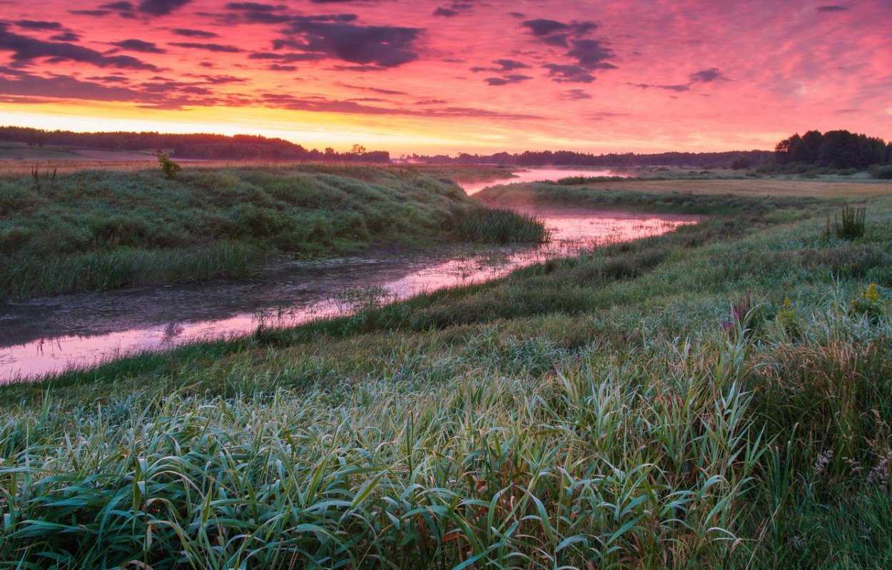 Рассвет в поле