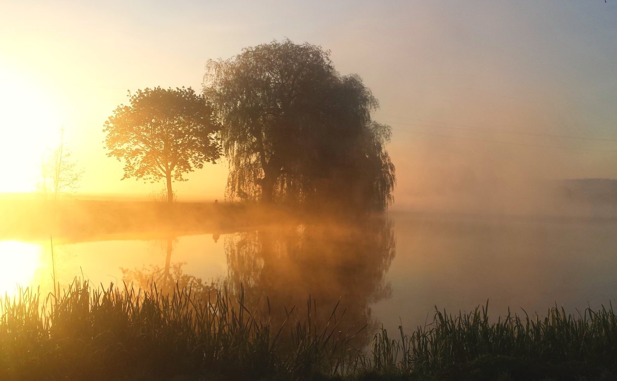 Утро река солнце
