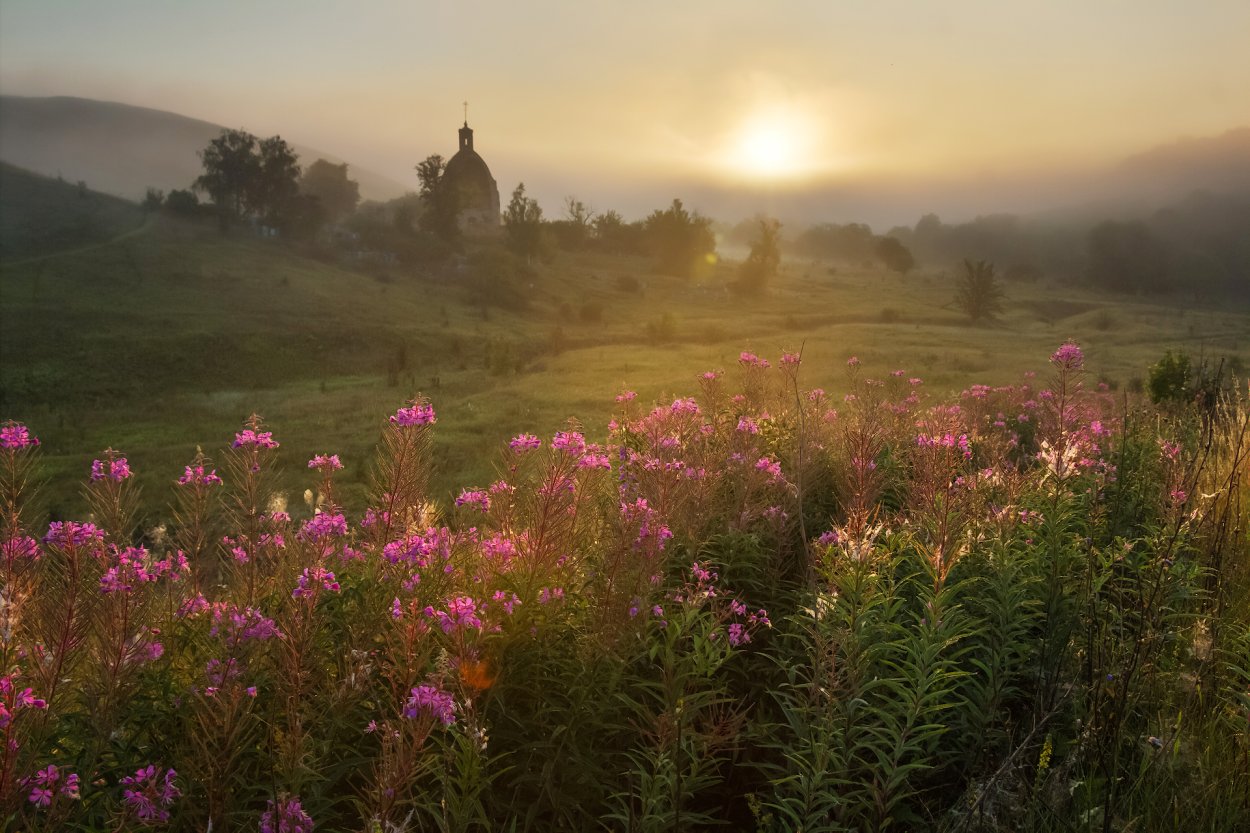 Река Иван-чай деревня