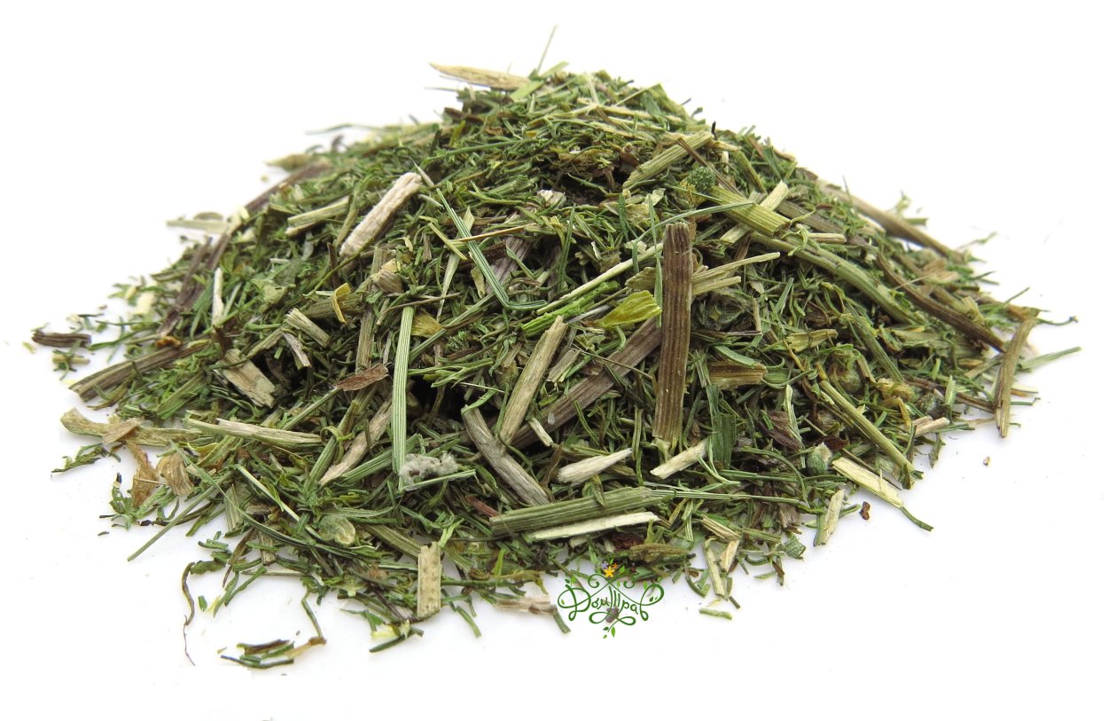 Адонис весенний лекарственное сырье