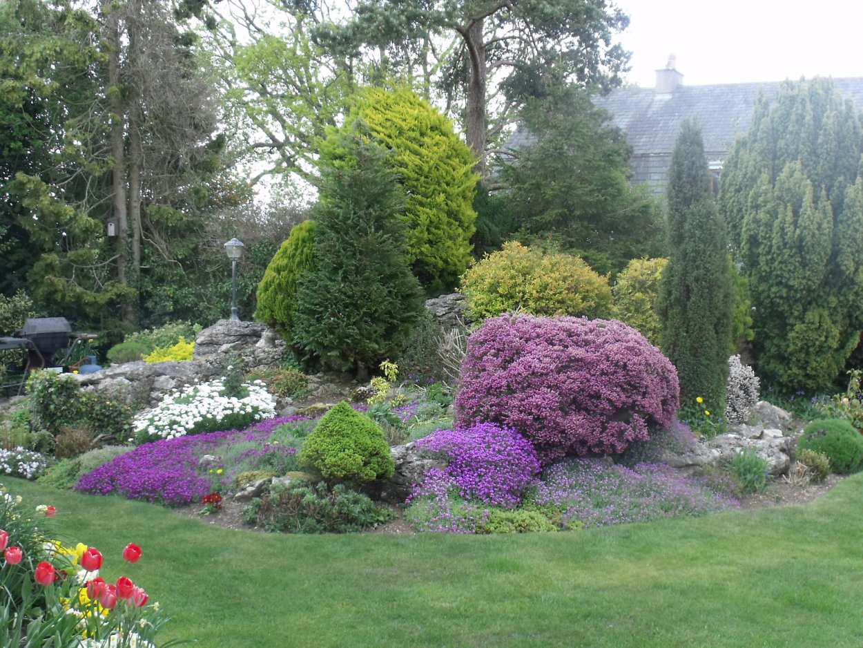 Вересковый миксбордер