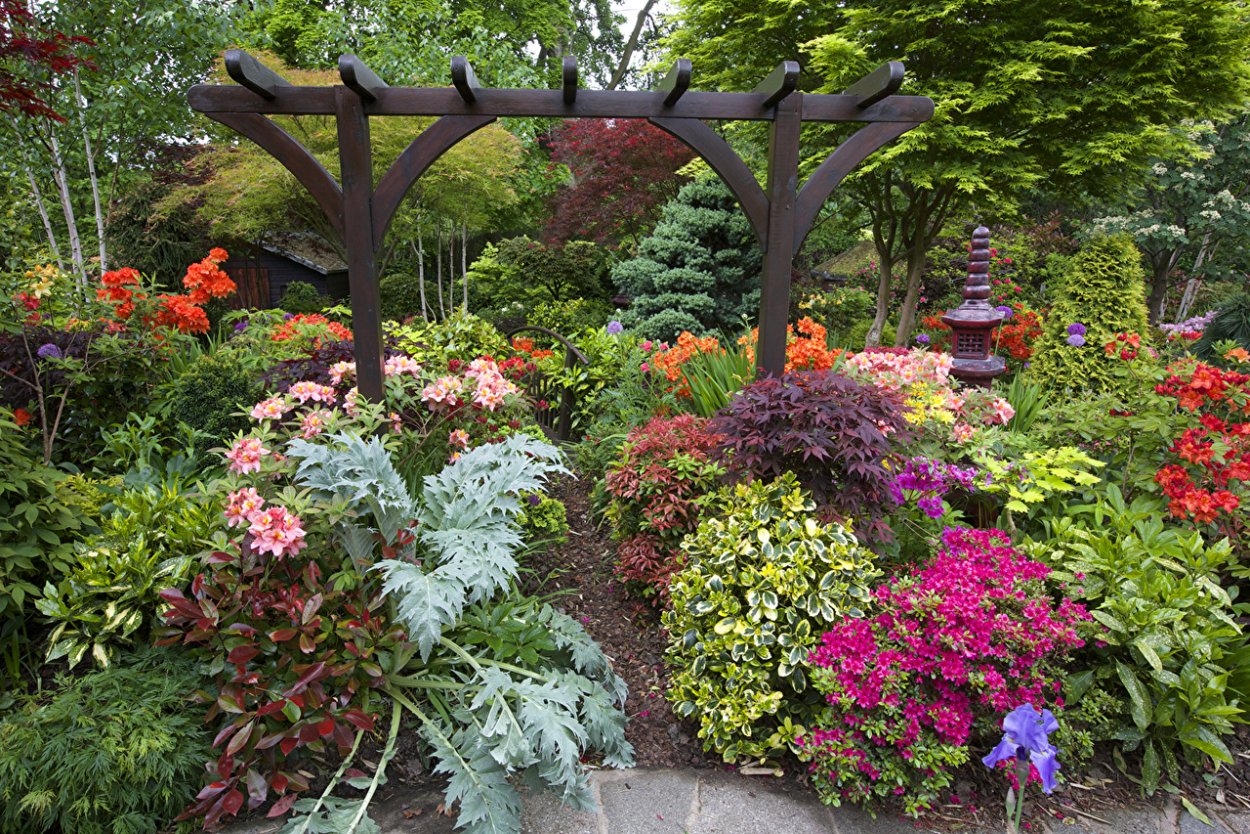 Декоративные цветы для сада