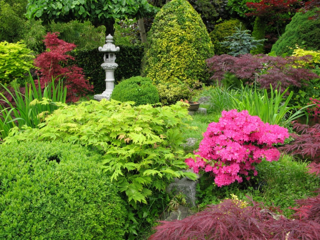 Сад представители