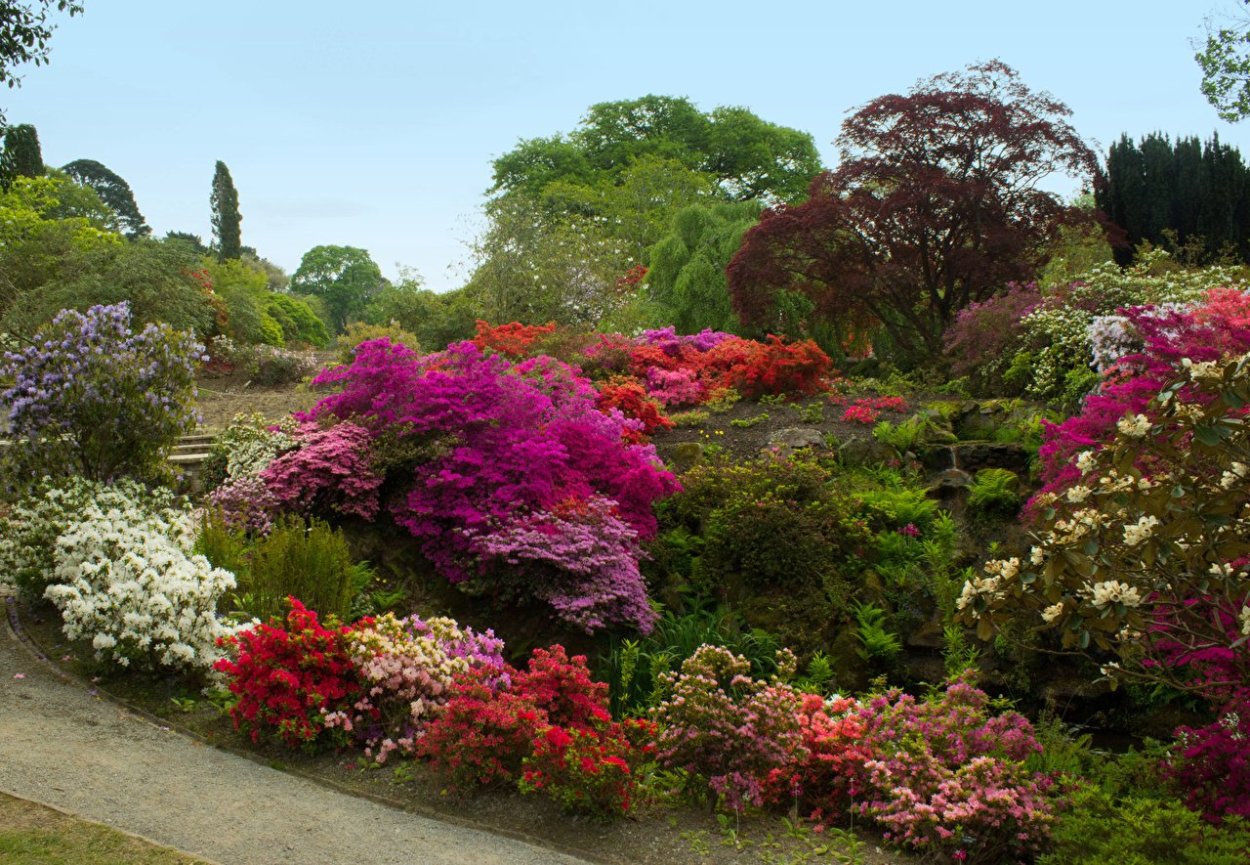 Сад Боднант в Великобритании