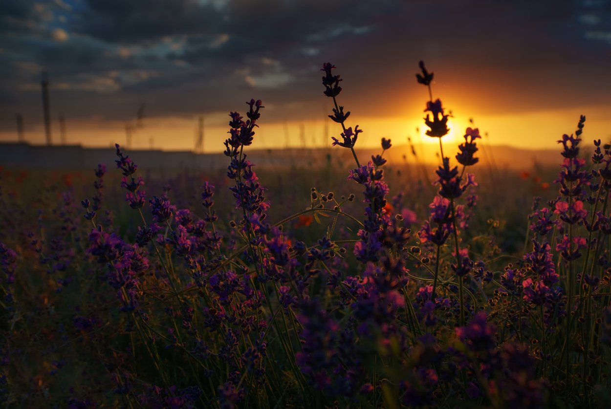 Красивый летний закат