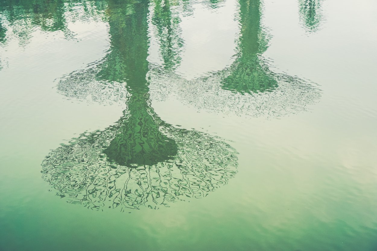 Кипарисовое озеро Геленджик