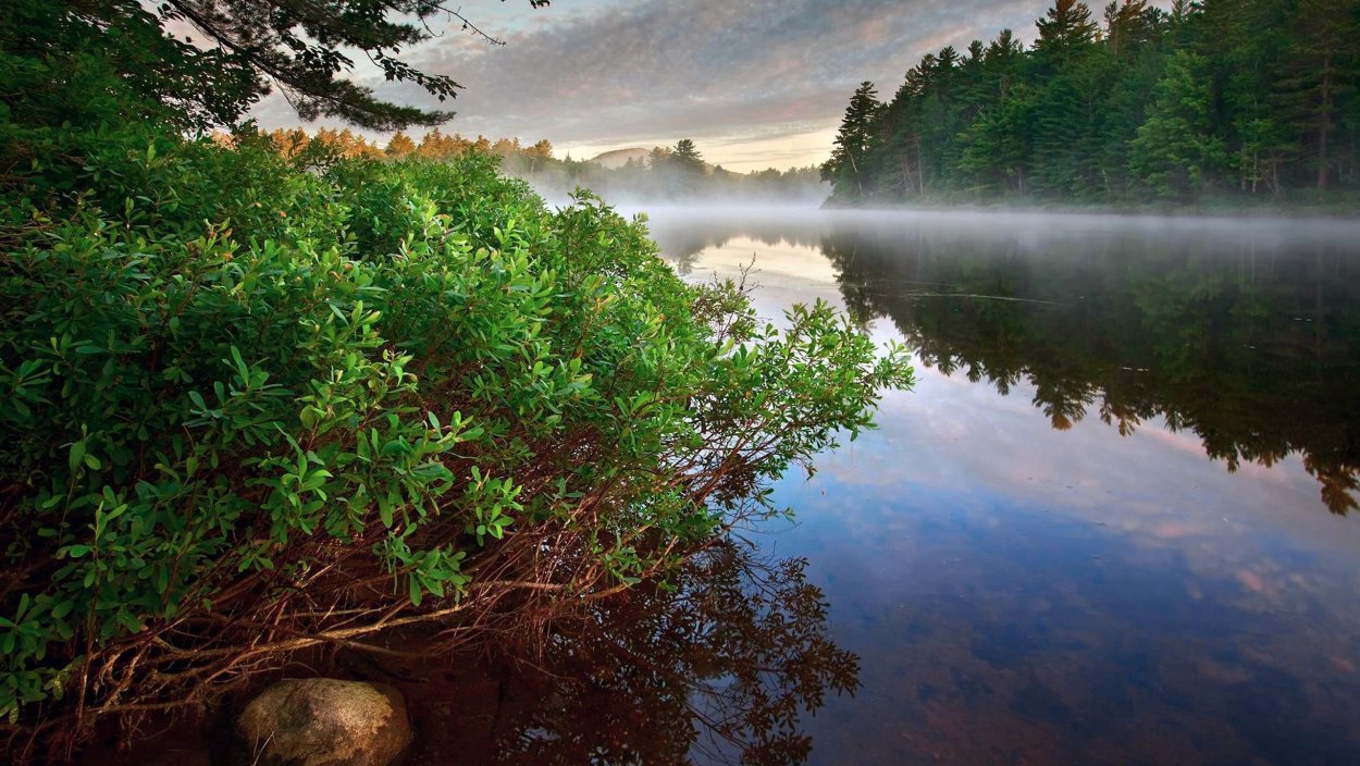 Огонек и вода