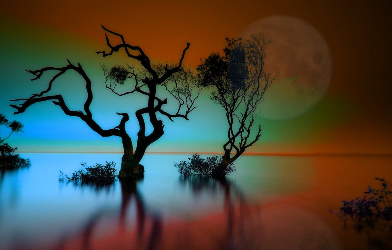 Жизнь природа