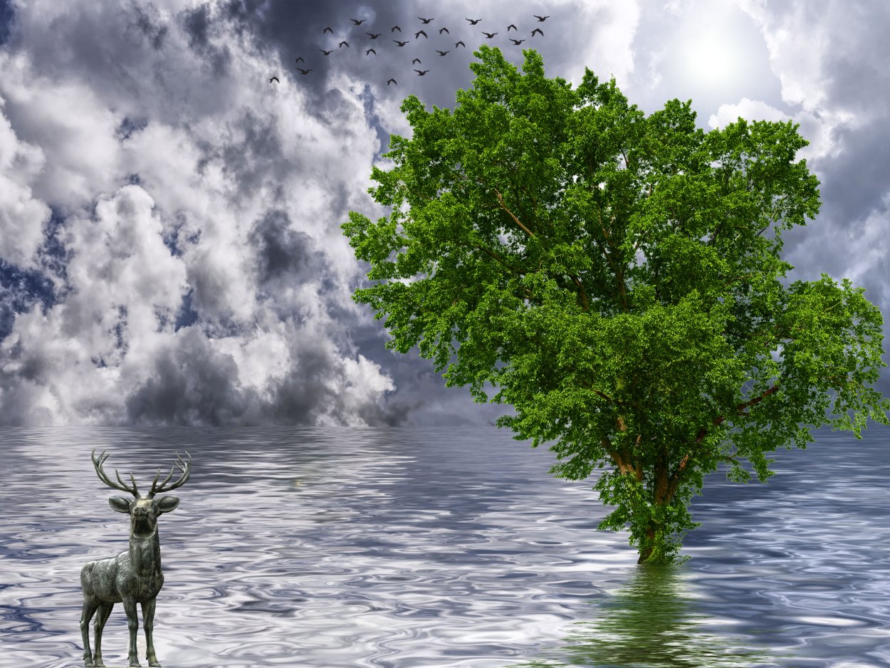 Стебель камыша