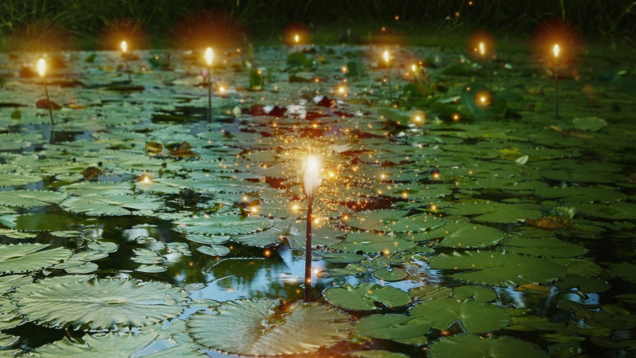 Кипарисовое озеро