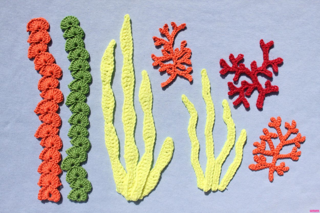 Водоросли для детей