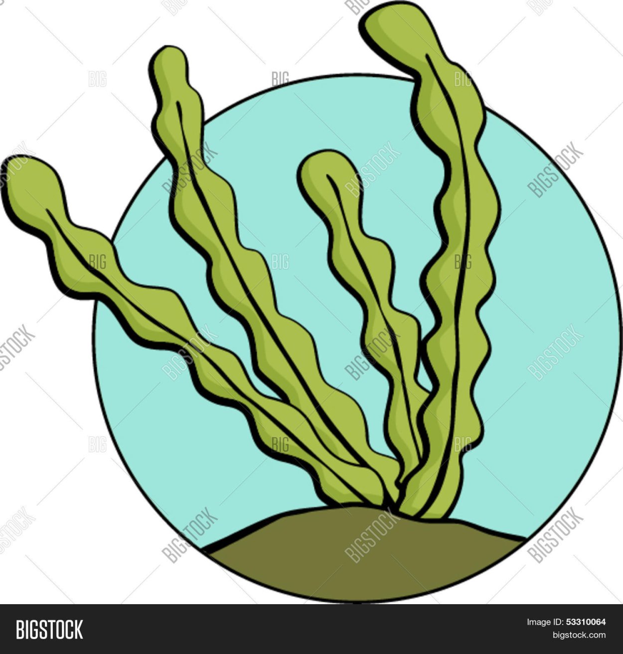 Кораллы для дошкольников